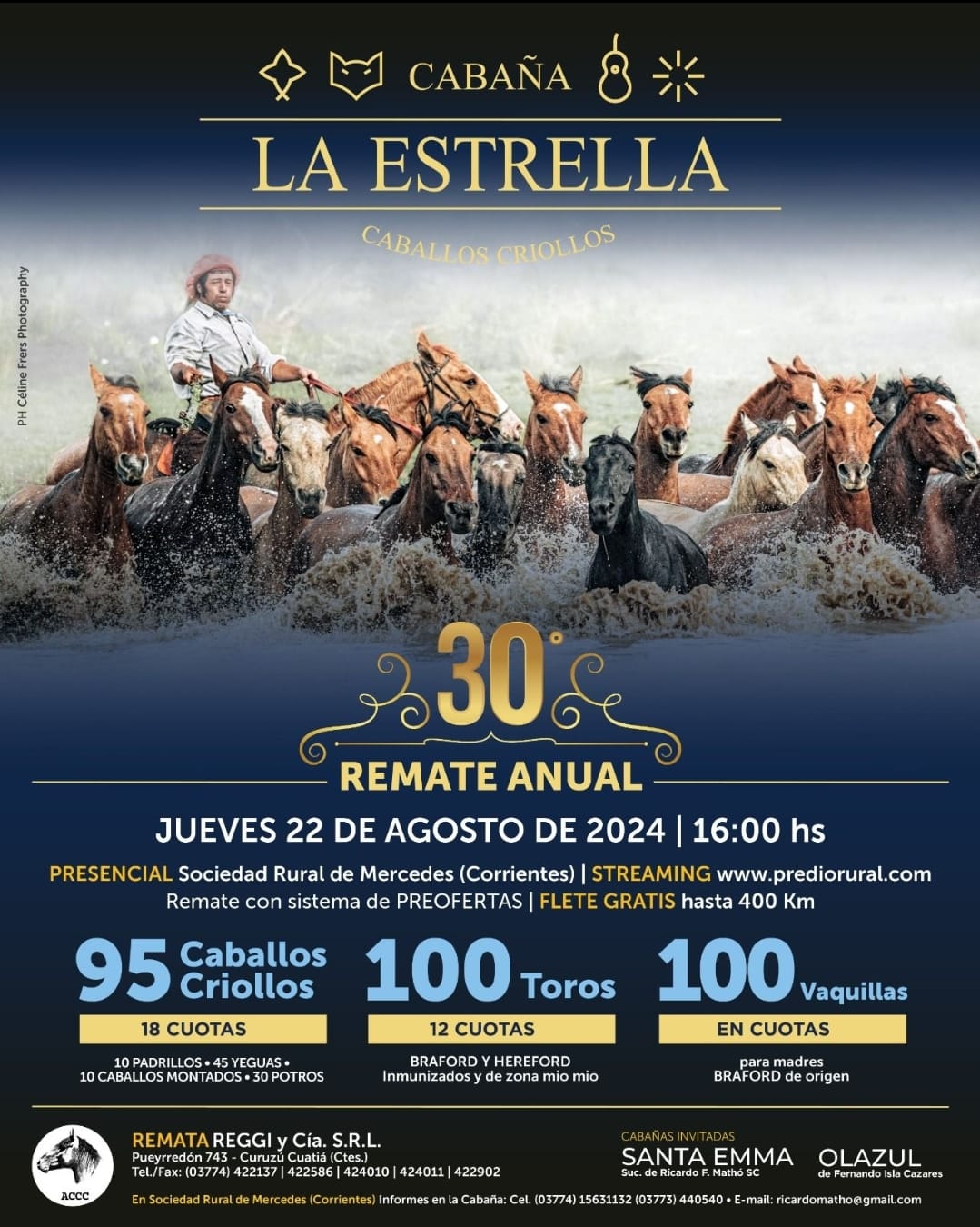 Remate Cabaña La Estrella Criollos 2024