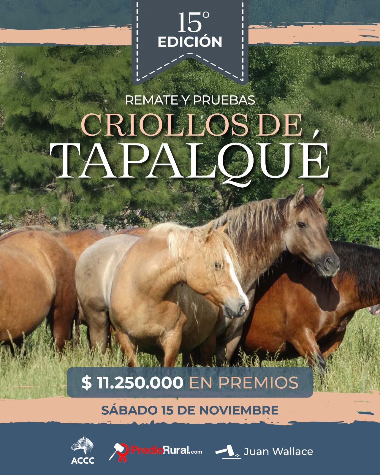 Remate Criollo de Cuyo 4